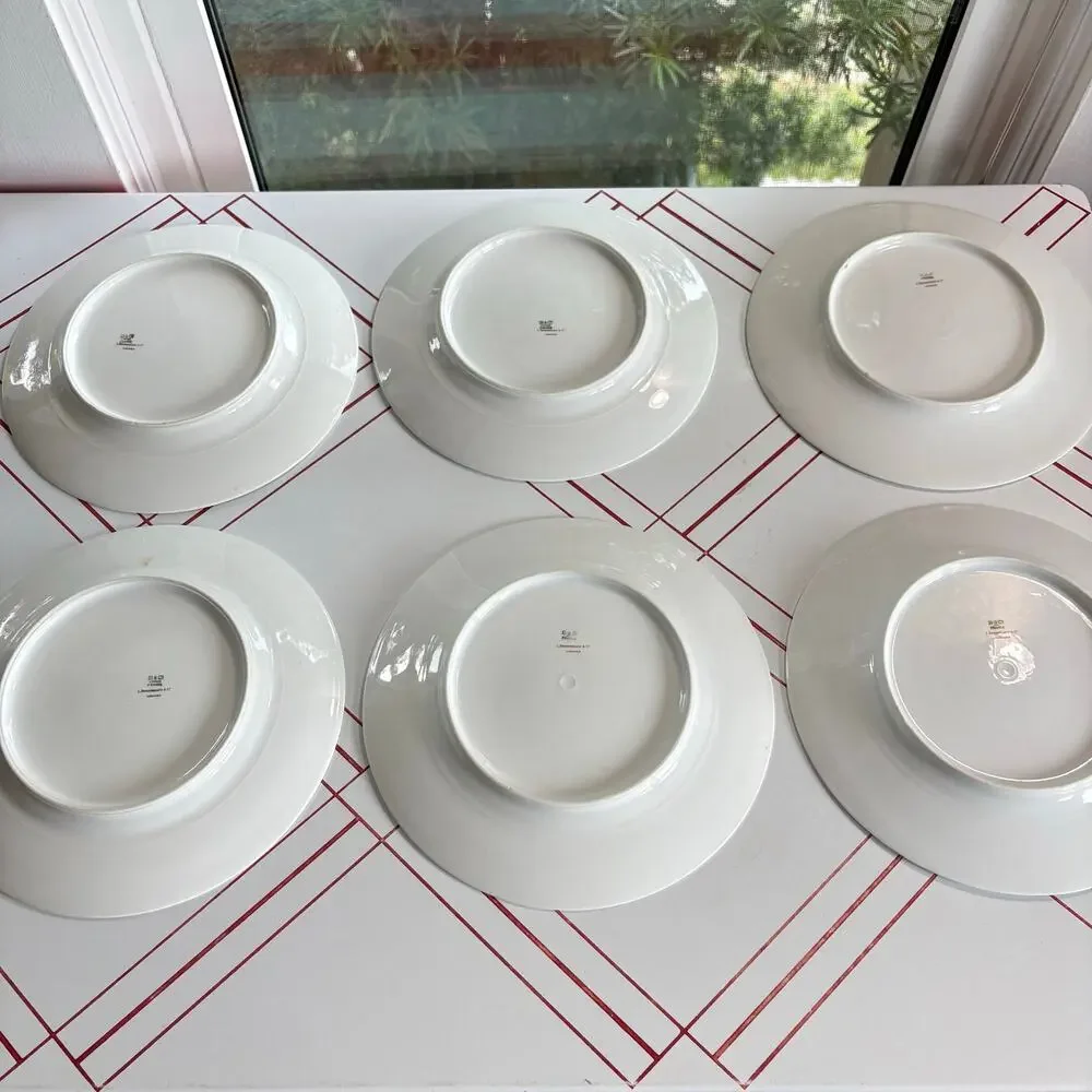 Bernardaud & Co Limoges contact delicate